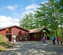 Whinlatter Forest Visitor center