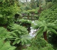 Lost Gardens of Heligan