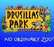 Drusillas Zoo