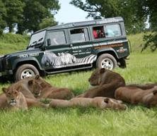 Woburn Safari Park