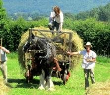 Acton Scott working Farm Museum