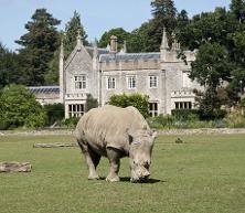 Cotswold Wildlife Park & Gardens