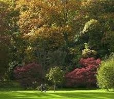 Batsford Arboretum