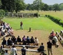 Cotswold Falconry