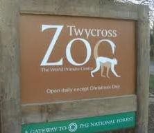 Twycross Zoo