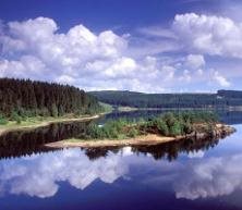 Kielder water & Forest Park