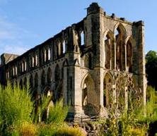 Rievaulx Abbey