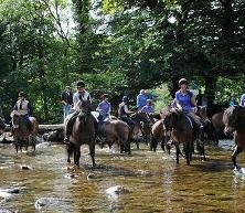 Exmoor Pony Centre