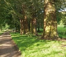 RSPB Corrimony Reserve