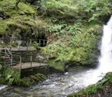 Dolgoch Falls, Abergynolwyn