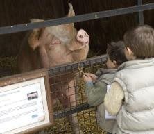 Lee Valley Park Farms