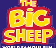 Big Sheep