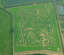 National Forest Maize Maze