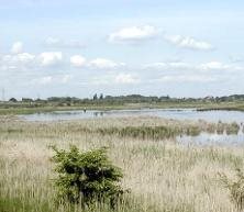 Oare Marshes