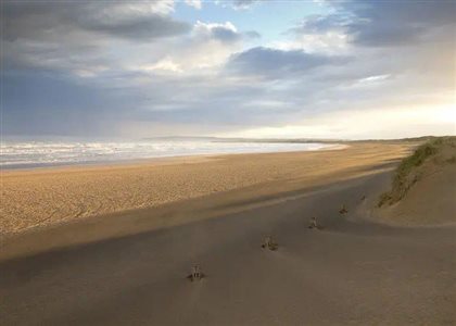 Camber Sands