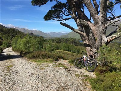 Glen Affric NNR