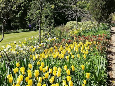 Pashley Manor Tulip Festival 