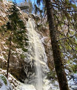 Plodda Falls 