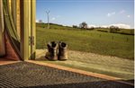 UK farm stays with great walking routes from the doorstep