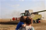 How to keep children busy on a farm holiday (without screens