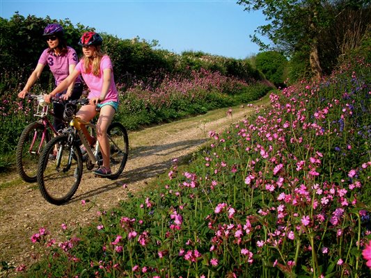 Cycling