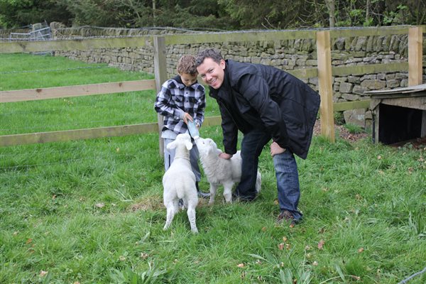 Lamb feeding