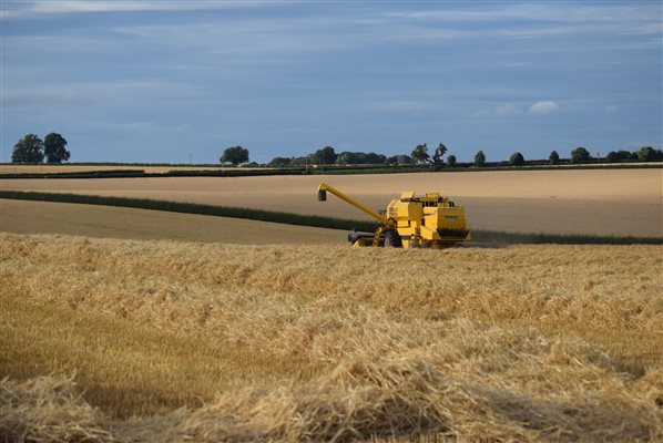 Combining on our Arable Farm