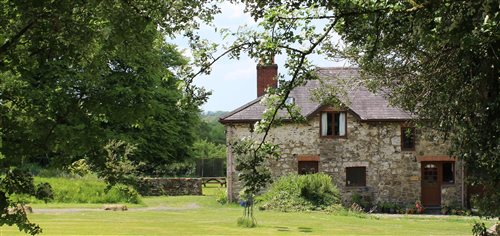 Davids Organic Farm - Wales