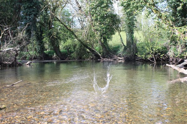 Exploring the River Taf