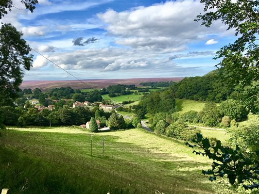 Hutton Le Hole