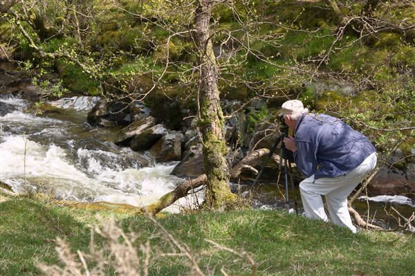 Birdwatching by the Wye at Nannerth Country Holidays