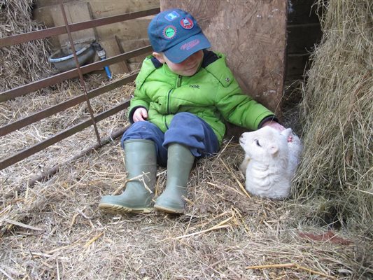 Quiet Time with Friendly Animals at Nannerth Country Holidays