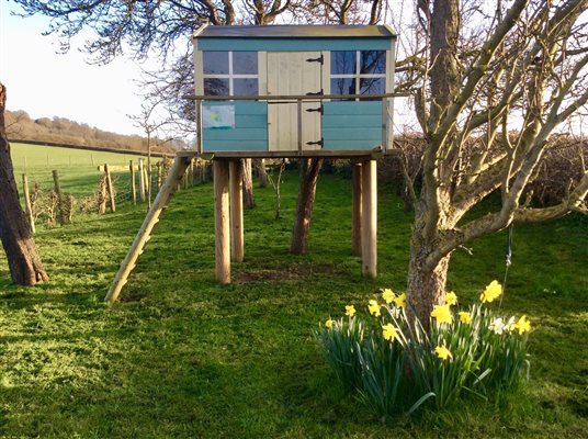 treehouse in orchard