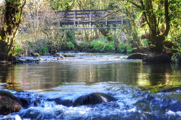 River Camel