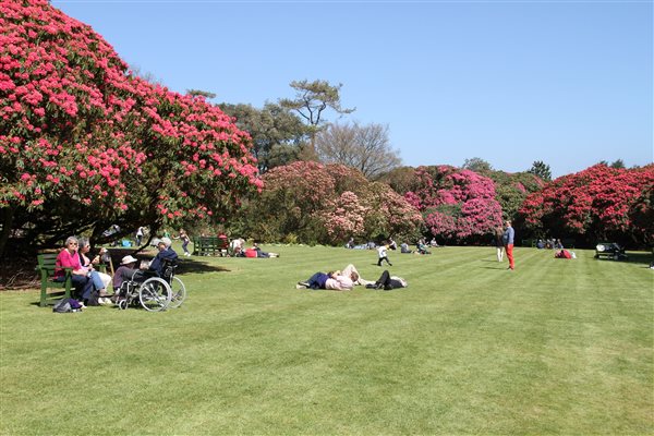 heligan