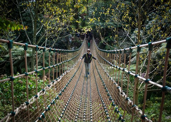 heligan