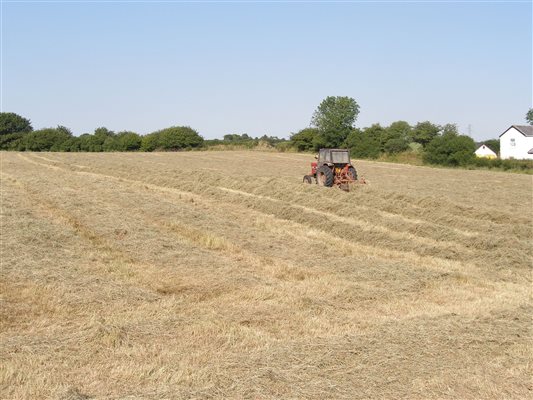 hay field