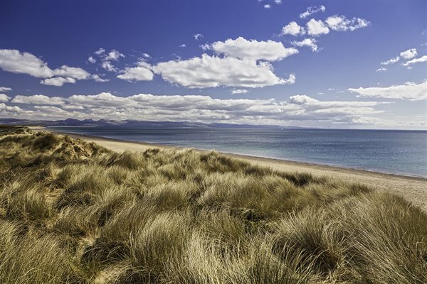 Local Beaches