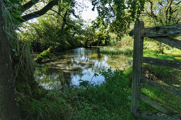 Dunsdon Farm pond