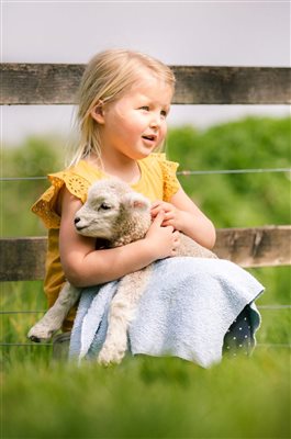 Cuddling lamb