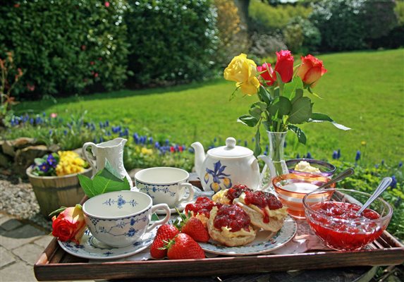 Devon Cream Tea welcome on arrival