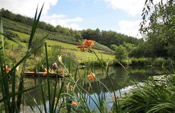 Devon Wildlife Pond at Huxtable Farm