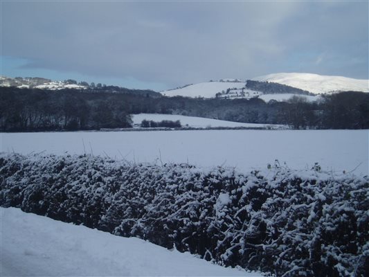 Snowy view clwydians