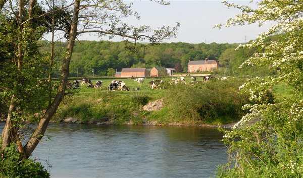 River clwyd