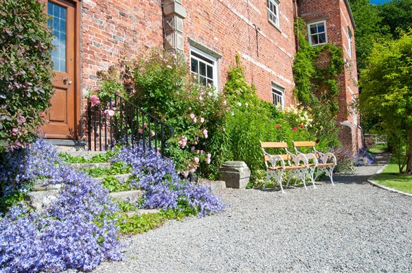 Entrance and garden