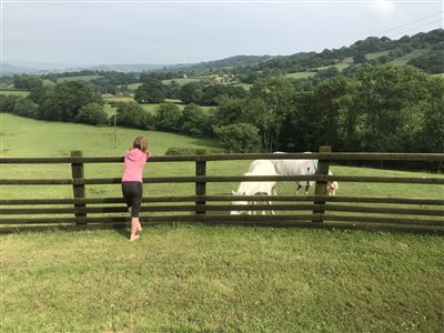 Devenish Pitt Farm and Stables