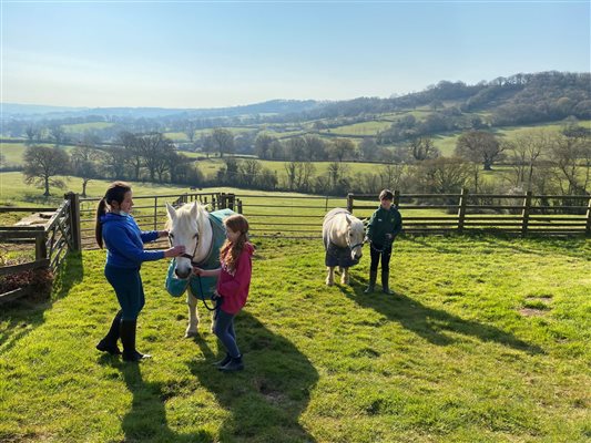 Helping with Ponies