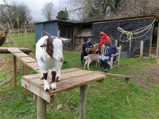 Family with Goats Background