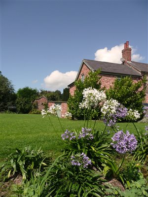 Glan Clwyd Isa - Spring time 