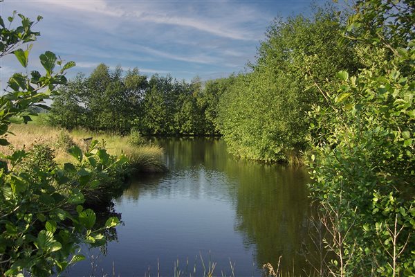 Glan Clwyd Isa - Large lake 